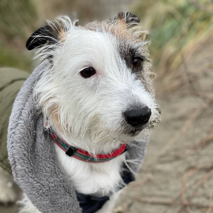 6c1c1094 d25f 49a8 8147 3e708954a603 1610843383811