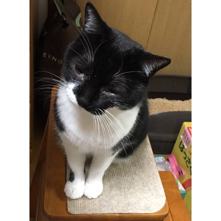 6c1c2d1a 9668 410e a6cb dd409415ec87 1511177240926