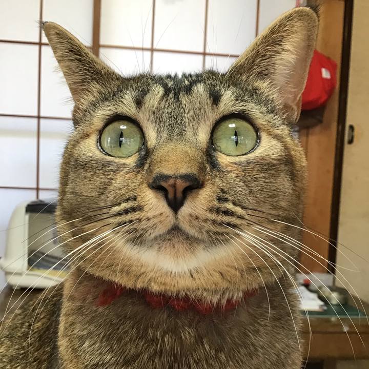 6c1c33ba 9537 4439 857e caeb23708102 1638589389800