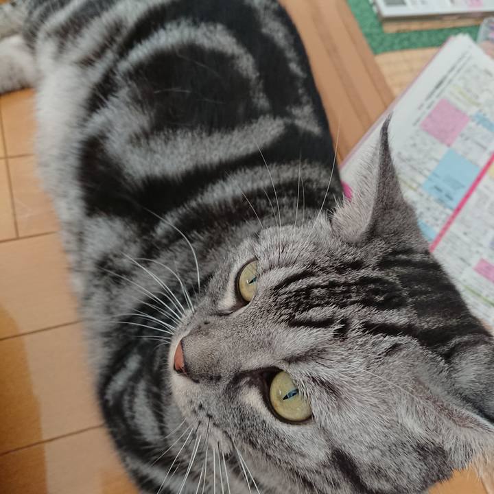 6c1c49f9 e90d 4e3e a717 58cf28048437 1568006852715