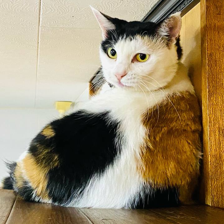 6c1c4b46 b55e 4a13 8d34 966513d50a7a 1660568141772