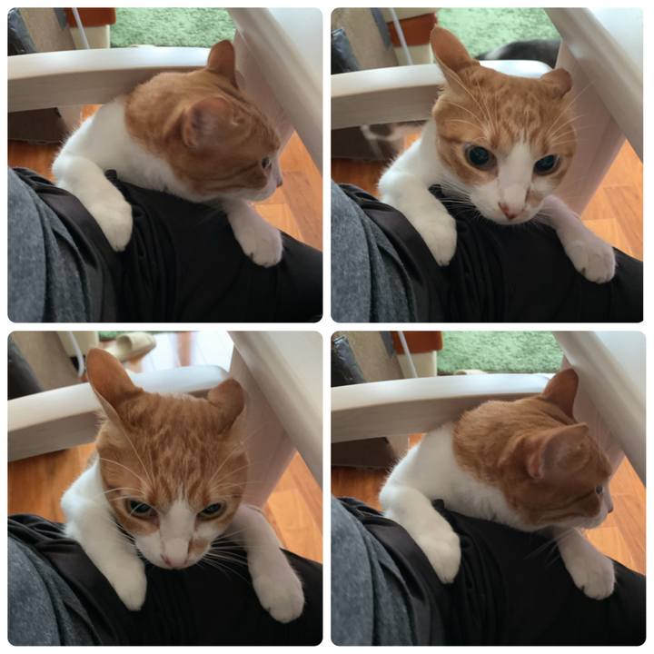 6c1c60e5 2644 4875 9e09 4a3fe3dc6298 1594844440500