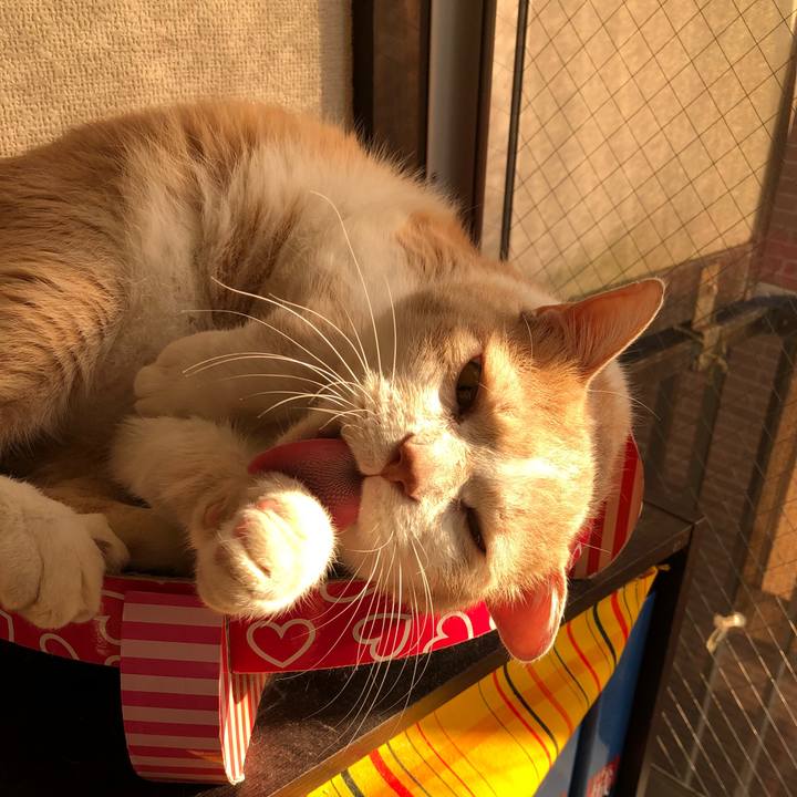 6c1c662d ddfa 4b38 9d1e c04947d088da 1510908837814