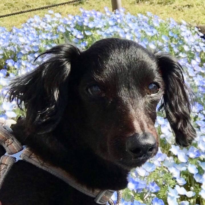 6c1c753a 164a 4c0c a46d 2f9b7b00cef0 1556698162178