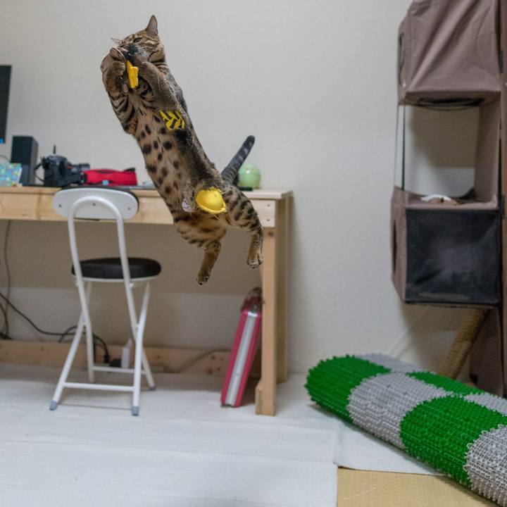 6c1ceb72 353d 4926 9c78 bdf9e3bd82b9 1518101295622