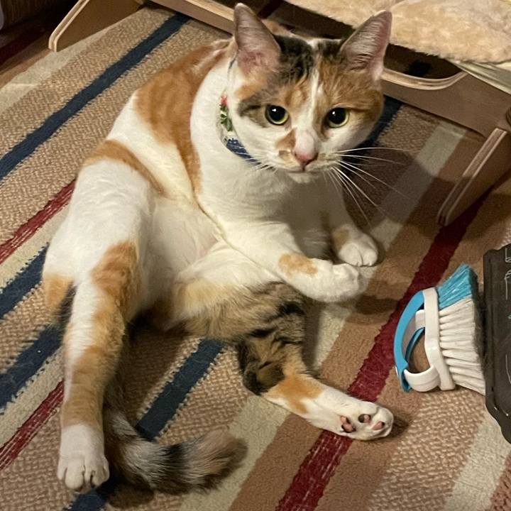 6c1cebcd 0c14 49b9 9f14 348f6613256c 1725024954381