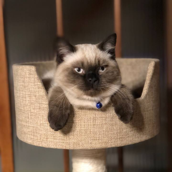 6c1cf3ad 0ed2 4b56 a6e2 0eb5468b76d4 1590136201585