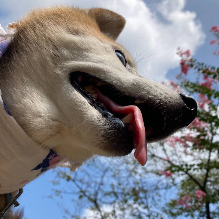 6c1d087e 3366 40ba 9b6e 310f6786cb1c 1757388832183