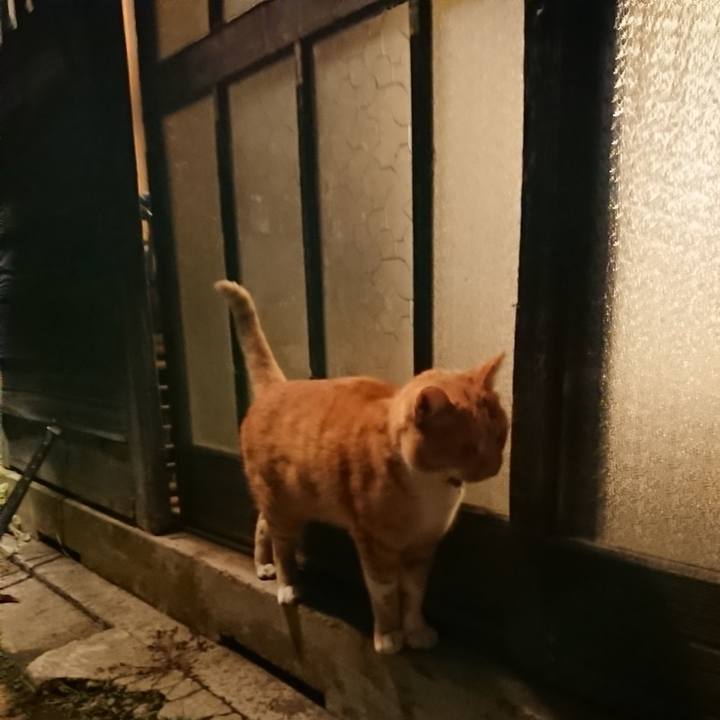 6c1d15c1 1a02 4cc1 9177 e215c726ff5b 1606380948873