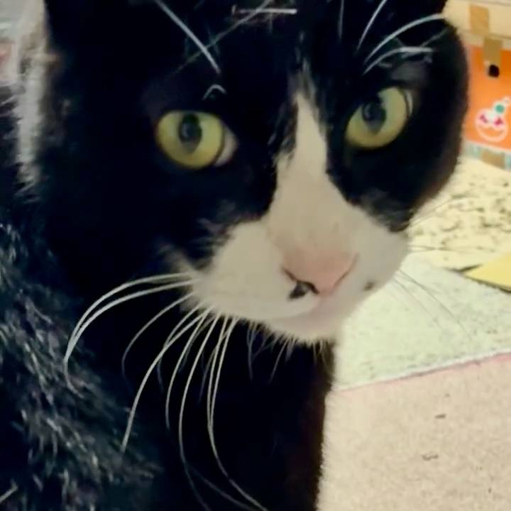 6c1d249a 74ea 4f93 8425 9cdda17f6e43 1774441948413