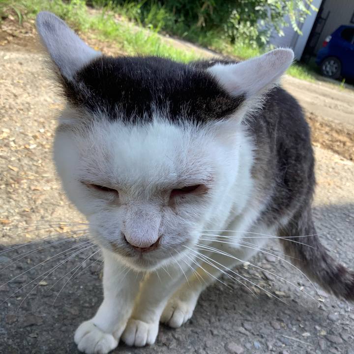 6c1d3889 fe31 40bc b887 f6f74bf4a836 1615121840665