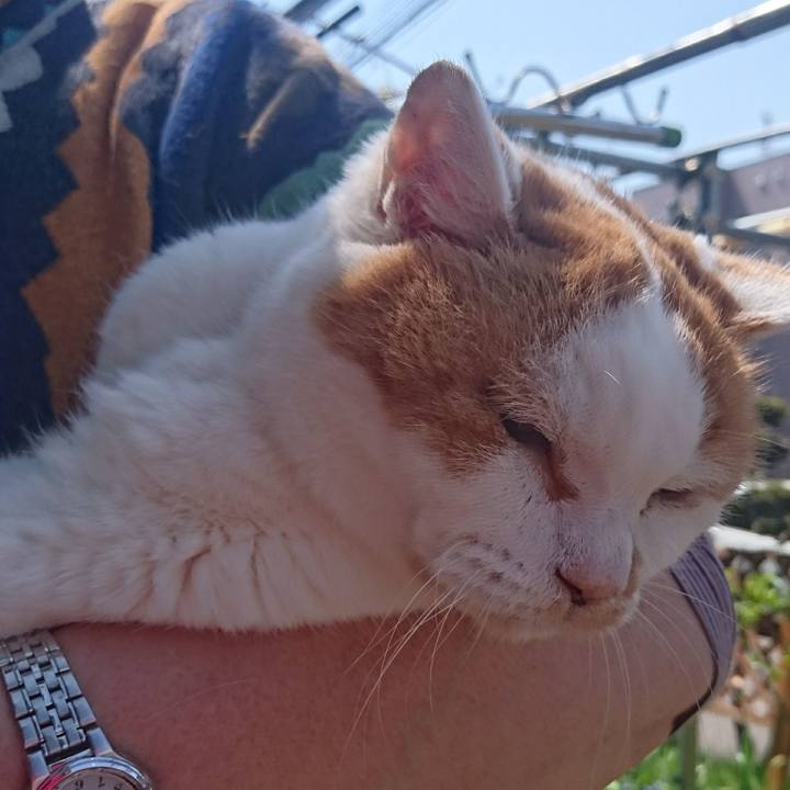 6c1d93fb 8a75 4e4c 828f 34d7e5f69bb5 1557027166804