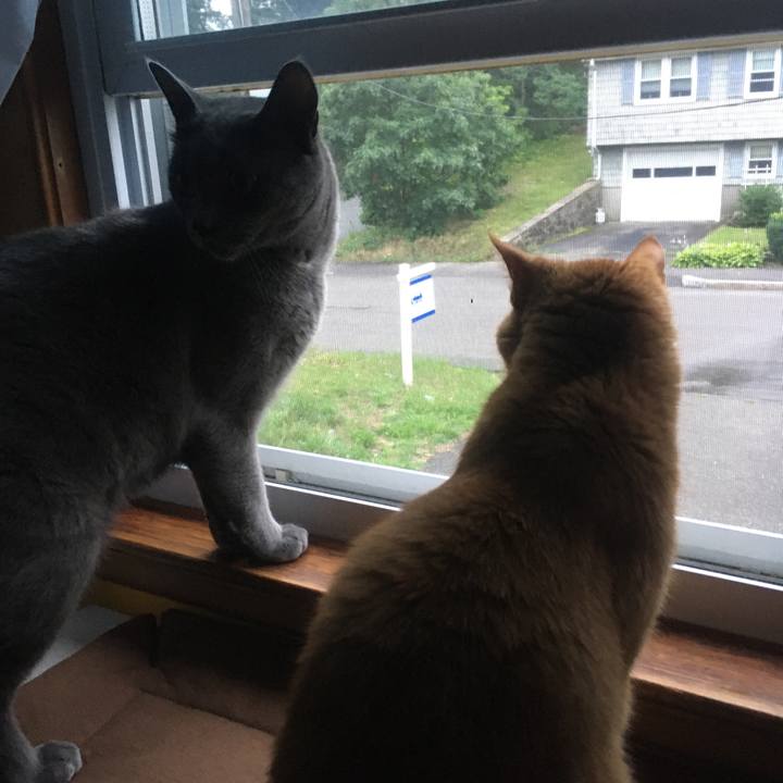 6c1dc1bf bd68 411c 9687 53633fcc6808 1633792872168