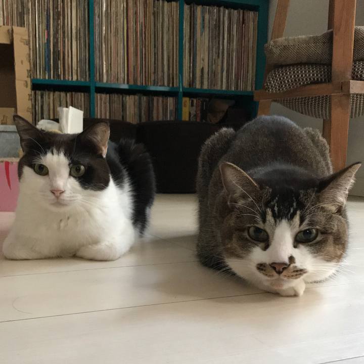 6c1dcd7d 50e8 4ea5 a407 0e21586f2f7f 1613977763584