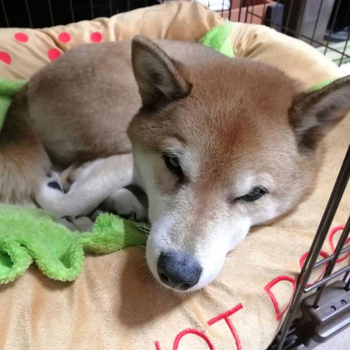 6c1ddf92 0451 4185 a7f9 f8565e9ef720 1674051498574