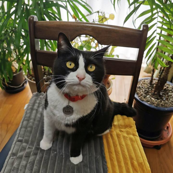 6c1df7d5 9060 4587 b34f 6e8f56d13e6a 1648701392995