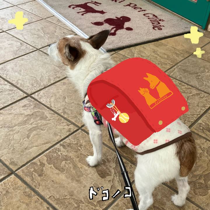 6c1e0e11 bb20 4f51 a1d3 c78814180958 1744759595638