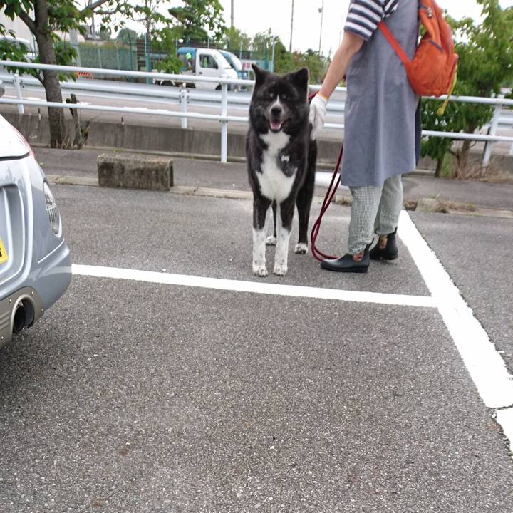 6c1e47a9 ebf2 4b32 827f 385c58b54c38 1594301824587