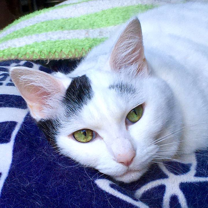 6c1e590a e0da 4829 bd2c 508ad5d1629e 1606257285937