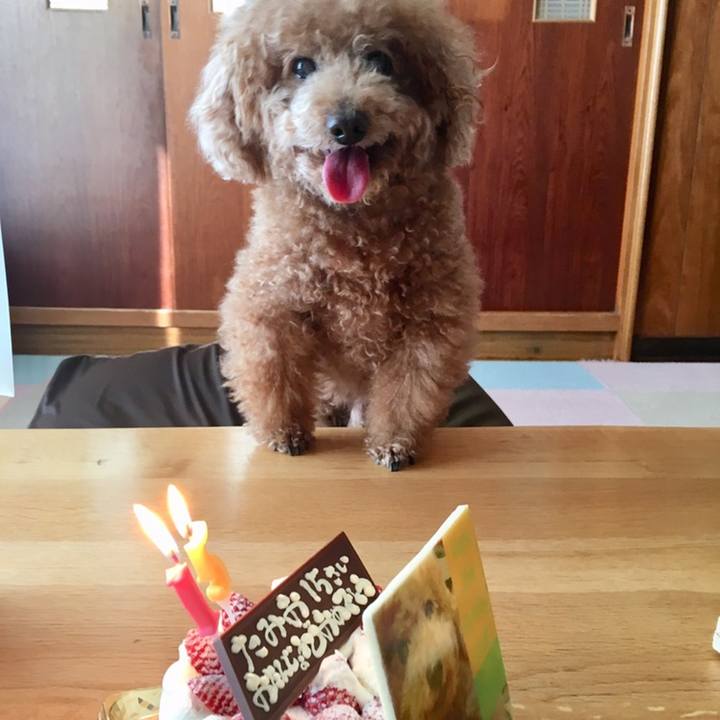 6c1e5be8 6c6d 482f 8cad 216738493ac1 1553499524503