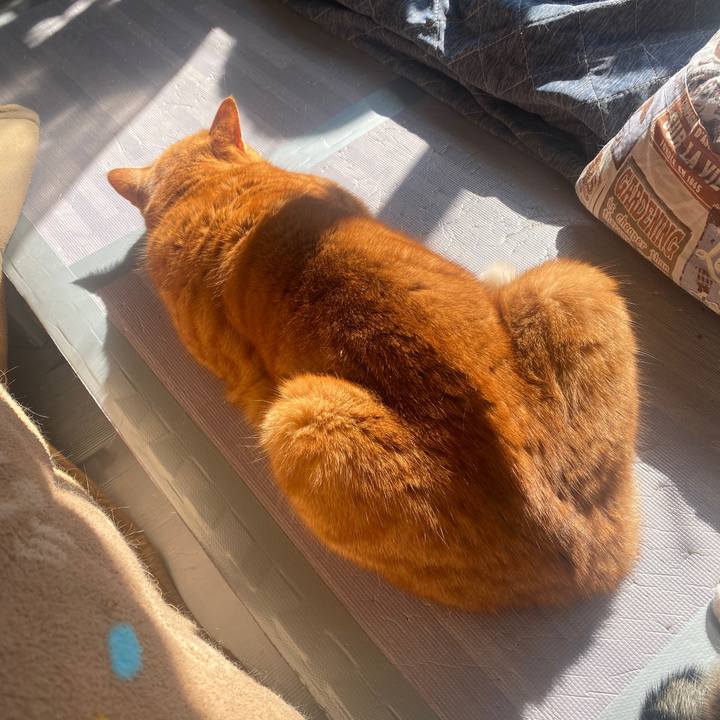 6c1e6230 a177 4d43 9cdf 256908c146ce 1644370718649