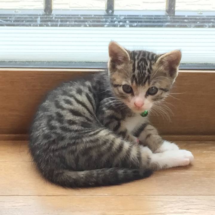 6c1ee219 0ac5 4644 bdec 7ffc5cba42aa 1651605138121