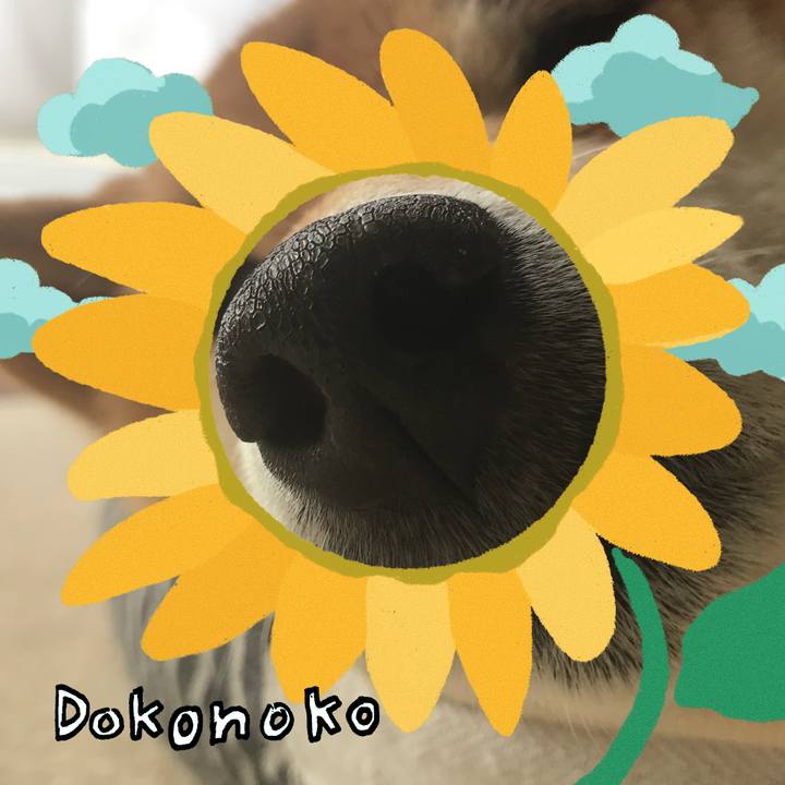 6c1ef4fa 44df 4af6 832f 385484ece04e 1723392397896