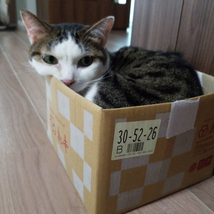 6c1f0d0a ad90 4b68 a89c 3f80f1b99758 1565041239395