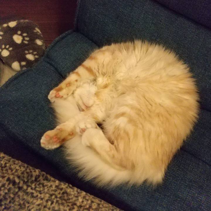 6c1f0ff3 3405 444d 81c4 111a74a85bab 1613566051111