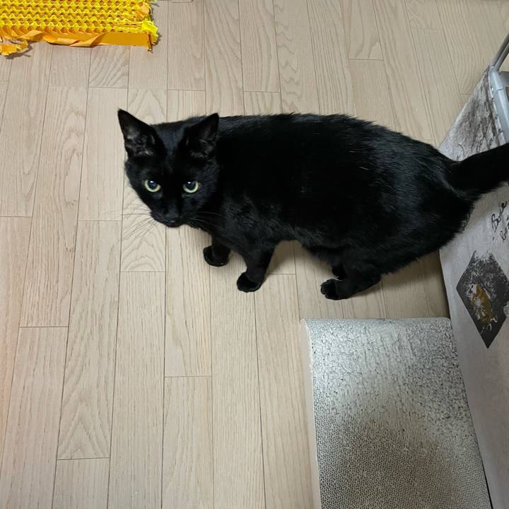 6c1f444a 775f 4c20 94c6 4af1f9b37cc6 1738749287775