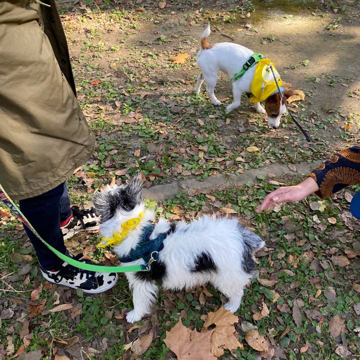 6c1f4573 3628 4cbe 8ace aa0e568b24dd 1606564099760