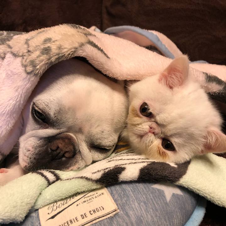 6c1f4edb eeac 4f3d 892f fd6094c7ea6e 1545404236478