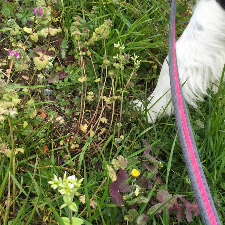 6c1fa737 1863 47ec 8cf4 b0de0a68ecda 1546735705050