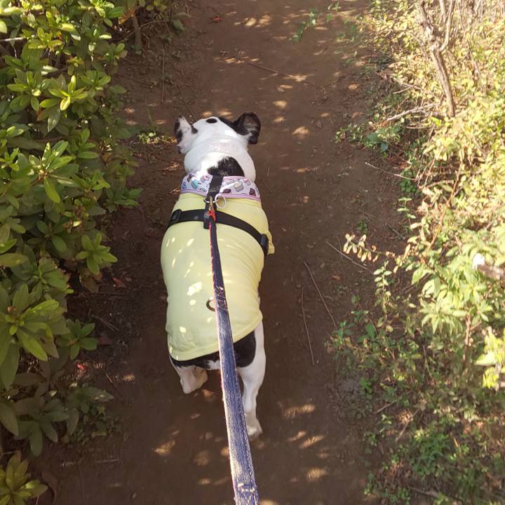 6c1fac29 91a3 4f7c 82aa 95ab40d0f04c 1609839533805