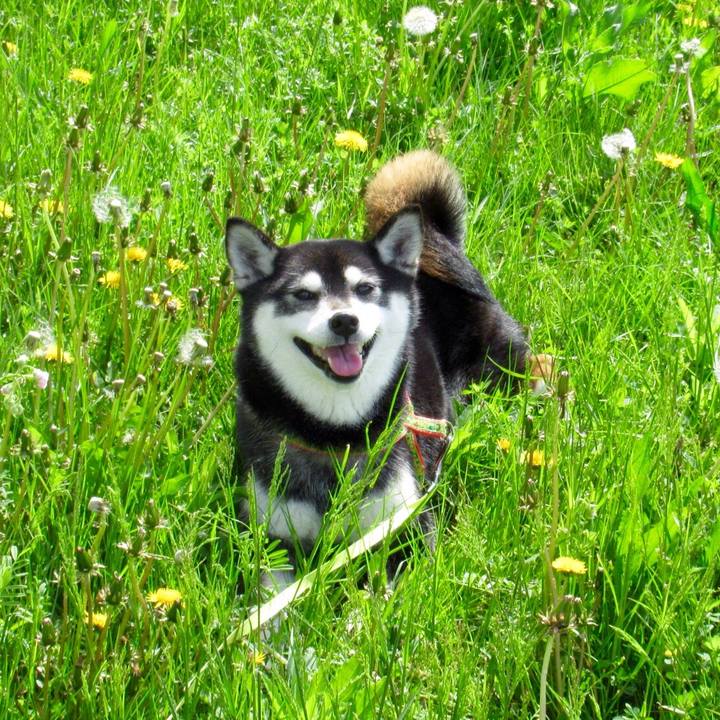 6c1fb186 1621 4d5f 85e8 fdad24c6d473 1588649414519