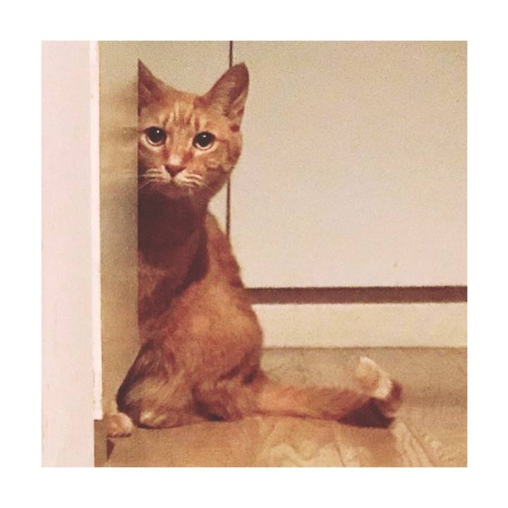 6c1ff1a4 5287 46e1 a167 840fc48c92df 1650248719026