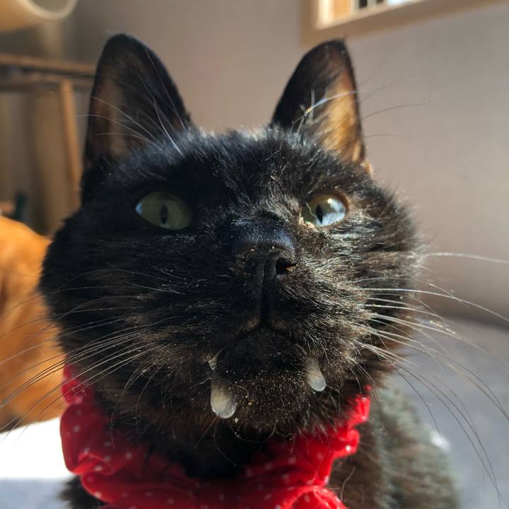 6c1ff379 8872 434e 892b 99eb414098d0 1557016413818