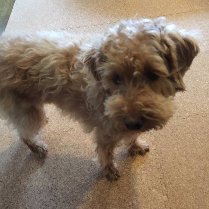 6c1ff653 bfe5 4a2f 8a4a f024f2fccc61 1521670863360