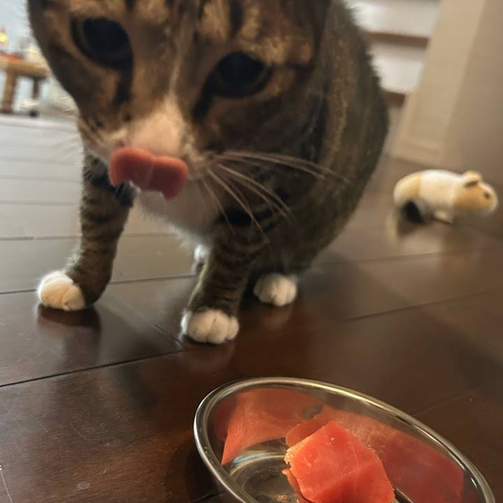 6c2001c4 4c4e 410a b4b8 4c74bf91f5b3 1758886048566