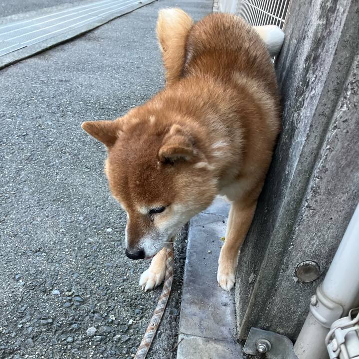 6c200689 7144 4282 b2a3 97ba1619fc62 1766227322144