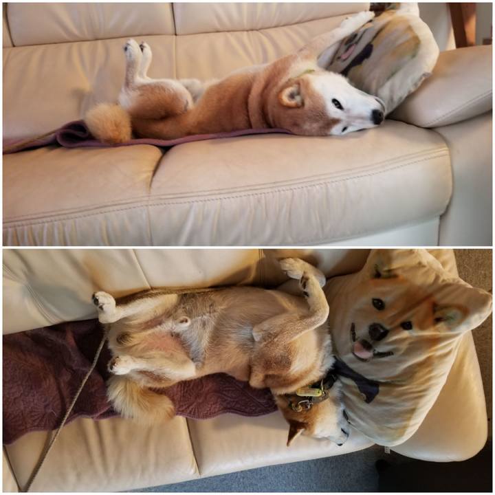 6c2030ad 27af 4867 8205 b9246987f030 1661897507336