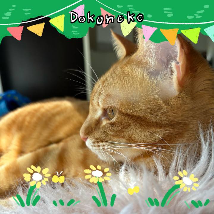 6c205c67 adcf 4419 9c37 30f597320bf1 1711085557447