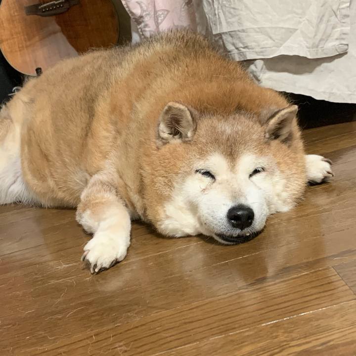 6c206469 8ad5 4922 a74f 3b58f7ac051a 1633265465678