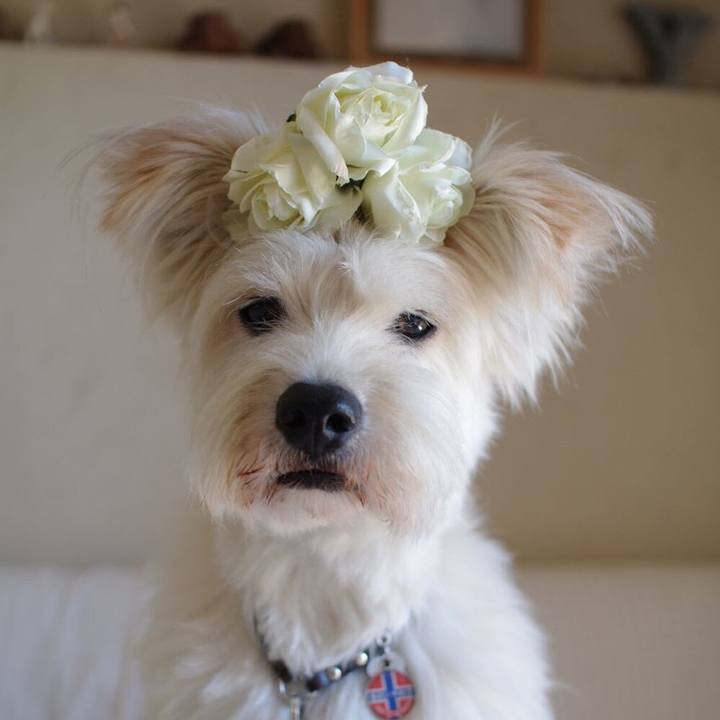 6c2072ec 9a73 4395 ada2 1f94fc71f318 1598931508154