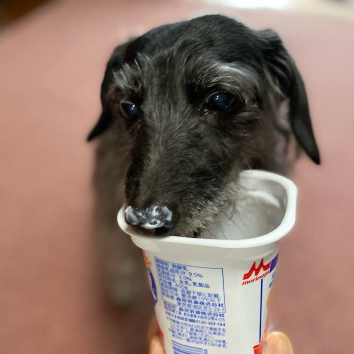 6c208ffc 2ef2 41aa 88a5 dce30999fb23 1615679109355