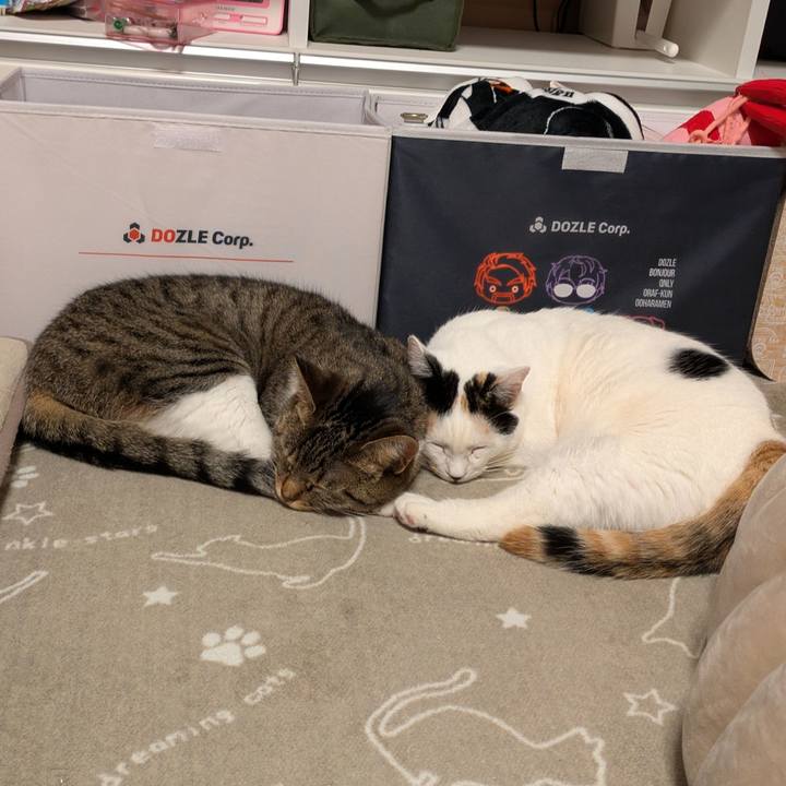 6c21169e b2d3 4fab a607 a4f311aca8ea 1735989784316