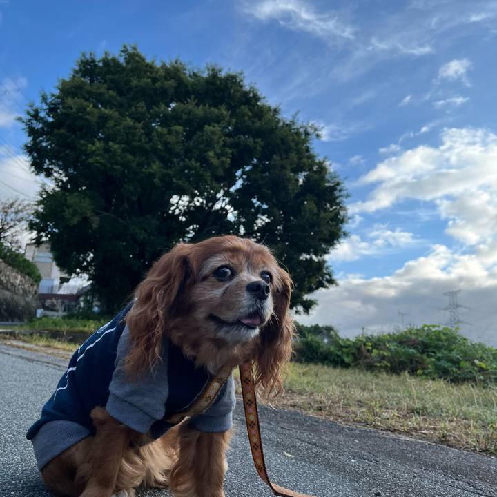 6c21674d d51b 4231 9fe1 32da5bb7c056 1761957880395