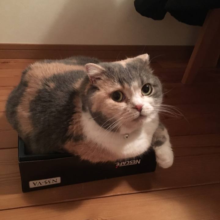 6c2175ee 0f8b 4897 a35b 5d383ea894a8 1551610902696