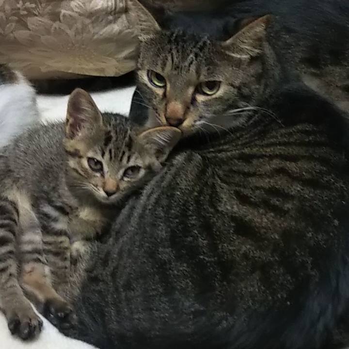 6c21aabd 05bf 4137 b319 f3b8549ecb00 1635154812188