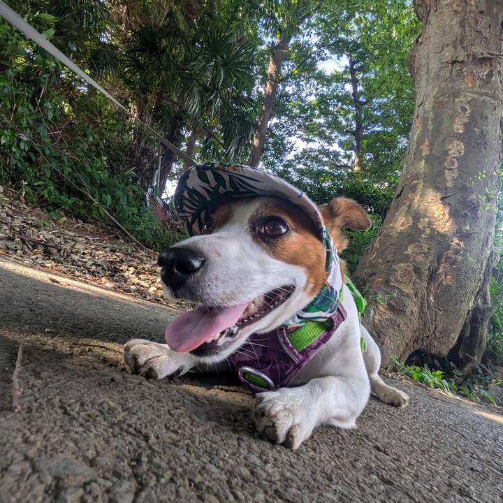 6c21d12a 263b 4ec3 95ef b103866564dc 1722337793084